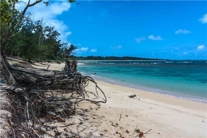 Malaekahana Beach, Oahu, Hawaii file image